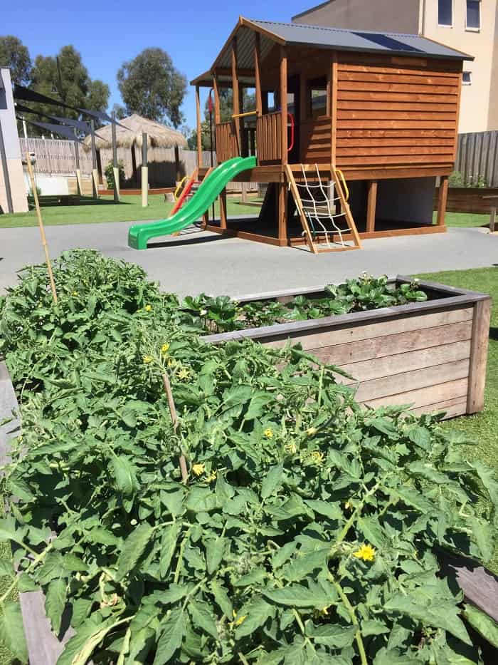 kinder garden preschool